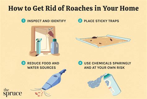roach control thunderbolt|How to Get Rid of Roaches .